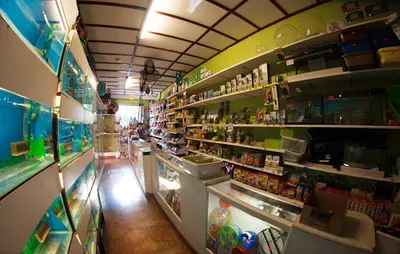 Sklep zoologiczny i wędkarski